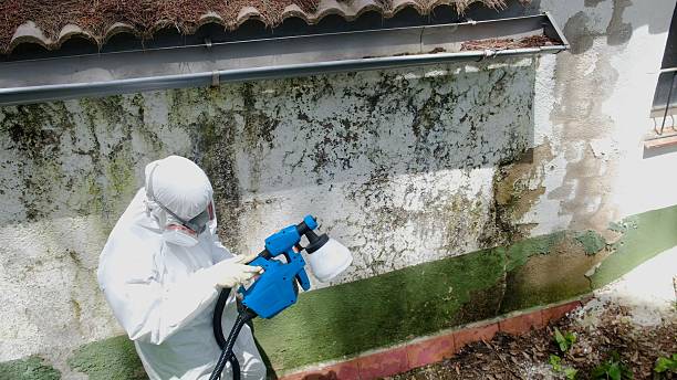 Top rated local Mold Remediation specialists in Newburg, MD